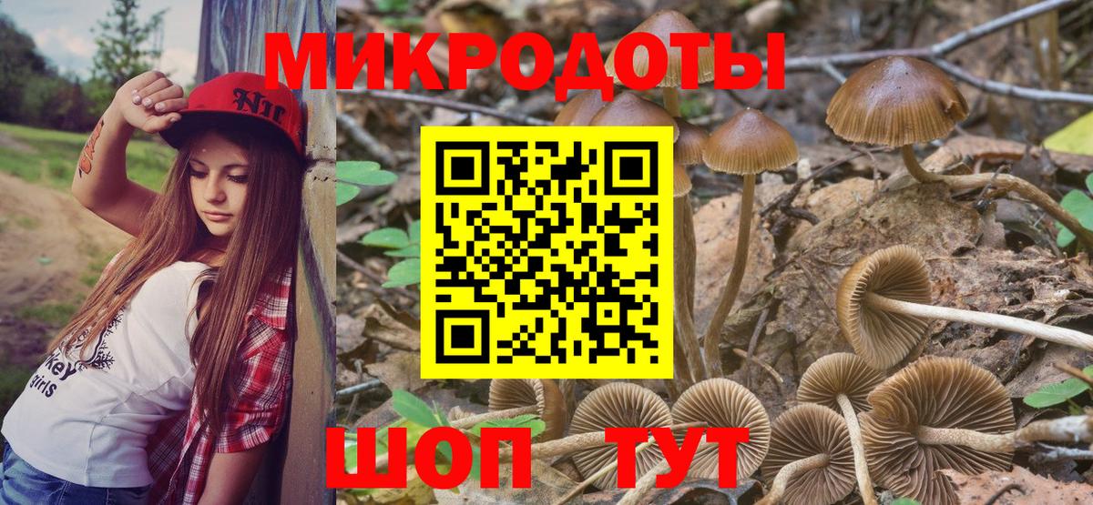Галлюциногенные грибы Magic Shrooms Лесозаводск
